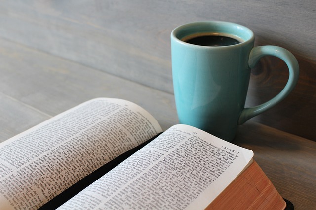 elpricej's tweet photo. “C'est une parole certaine et entièrement digne d'être reçue, que Jésus Christ est venu dans le monde pour sauver les pécheurs, dont je suis le premier.”

1 Timothée 1.15
#Bible https://t.co/UNbuVXVLmY