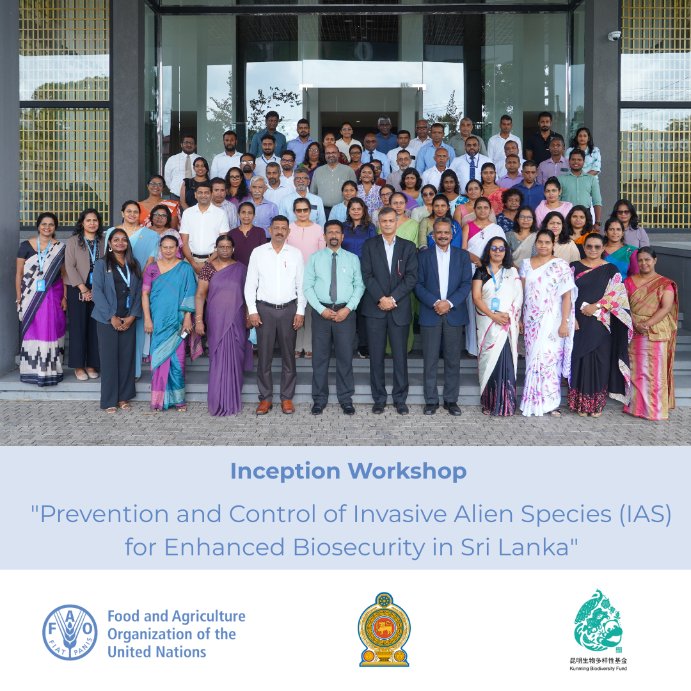 FAOSriLanka's tweet photo. #SriLanka is advancing action against invasive alien species. 🌿

FAO and partners launched a KBF-funded project to strengthen biosecurity, improve early detection, reinforce border controls, and protect biodiversity.

#Biodiversity #Biosecurity #FAO https://t.co/I6JAeaWEgg