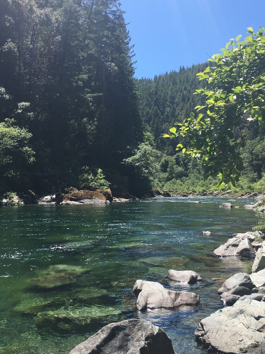 _Naturaee's tweet photo. nature is free therapy https://t.co/iDyumbFFNs