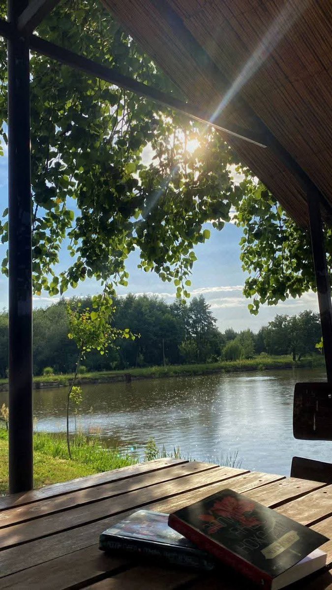 _Naturaee's tweet photo. nature is free therapy https://t.co/iDyumbFFNs