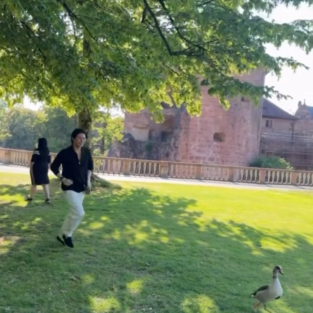wubblybabe's tweet photo. นี่มันวิลเลี่ยมวิ่งไล่เป็ดนี่หน่าาา 🦆 https://t.co/fxbw0QSabu