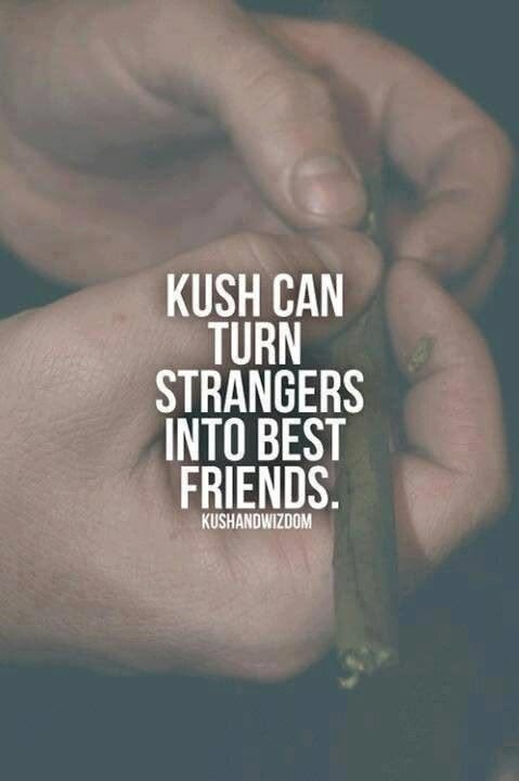 hi_amhigh's tweet photo. How true is this? https://t.co/r6yfbOZZjp