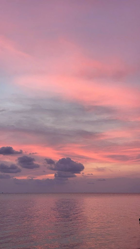 _Naturaee's tweet photo. pastel sunset https://t.co/JjYV36XSnP