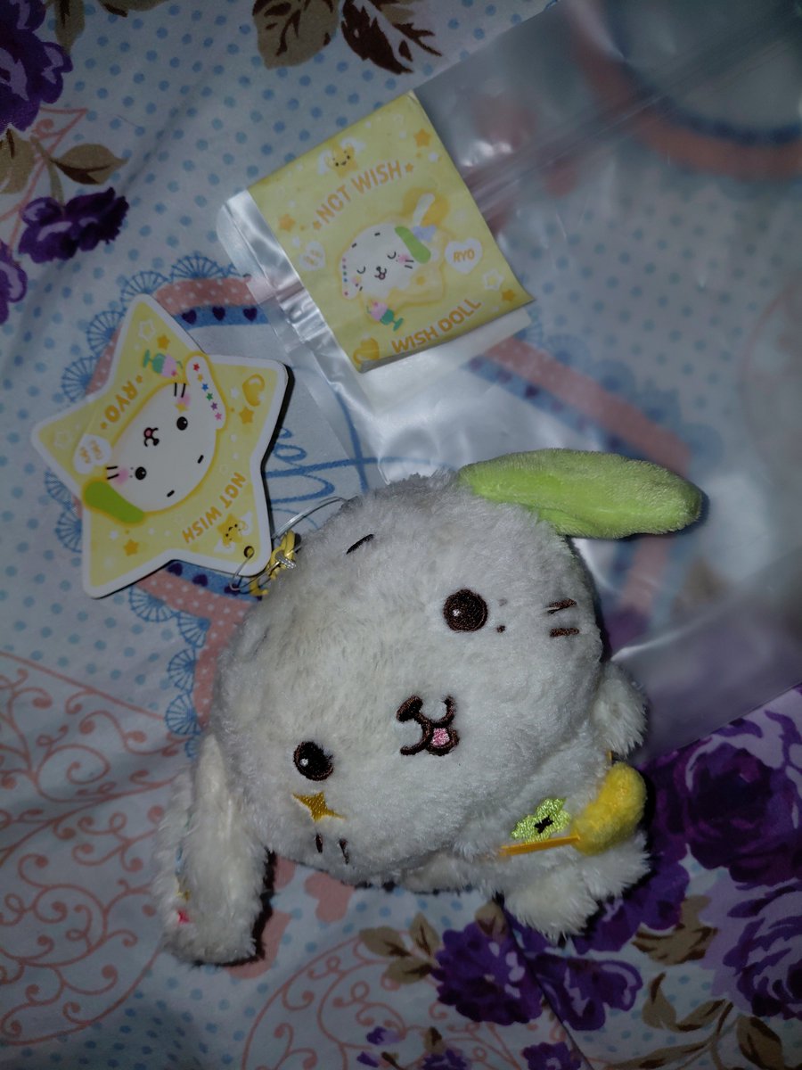 _augustali's tweet photo. wts lfb nct wish ryo ph 

official nct wish steady wish doll - ryonryon P1,000 + sf.
- payo | direct j&amp;t
- loc: nueva ecija
- ships on mon-wed-sat
- needs to be washed. | x sensi 

💌 please reply/dm to claim https://t.co/h29vWwBfVA