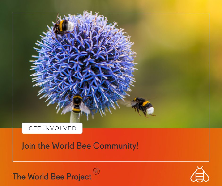 worldbeeproject's tweet photo. What we do today shapes the ecosystems of tomorrow.
By protecting bees, we’re safeguarding food systems, biodiversity, and future generations.

Join the World Bee Community and be part of something bigger:
https://t.co/bGDrYObGzb https://t.co/8Arn2K2fnv