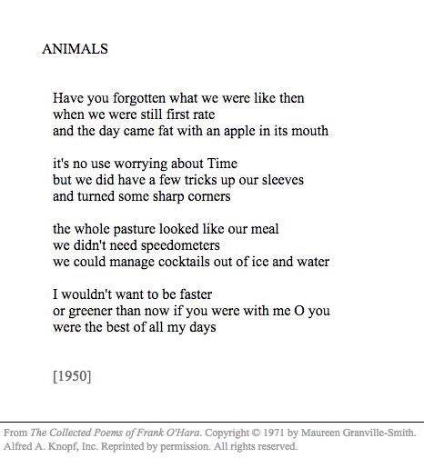 ZacharyLipez's tweet photo. This is my favorite Frank O’Hara poem. I’d tell you a very embarrassing story related to it and myself in my twenties, but I’m blushing on the outside and dying inside just recalling it so fuuuuuuck that. Enjoy! https://t.co/Jlw11yxRzi