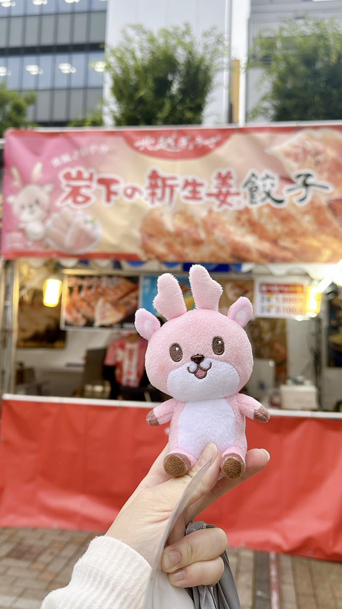 Manamiv's tweet photo. 昨日、おかちまちパンダ広場でやってる餃子まつりに行ってきた🥟❤️
餃子大好物なの😍

北越ぎょうざさん『岩下の新生姜餃子』
もうね、当たり前に、めちゃくちゃ美味しかったです！！大好き💗

七福さん『ホタテバター餃子』
これ！ホタテの旨みとバター醤油で！本当に本当に超〜〜〜美味しすぎた‼️‼️ https://t.co/tMXZxYwYJJ