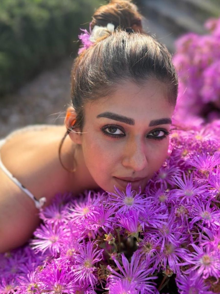 i___jk9's tweet photo. #Nayanthara 🩷 https://t.co/cnATsVCFgW