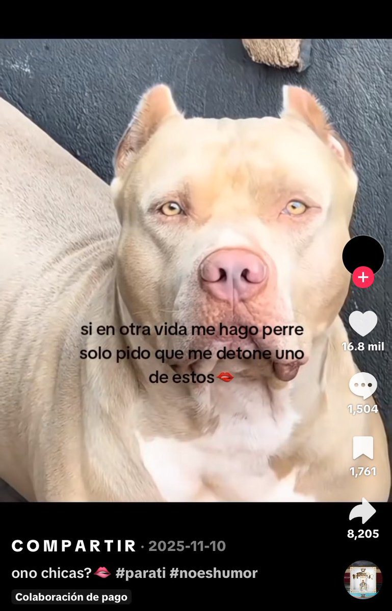 sakito tweet media