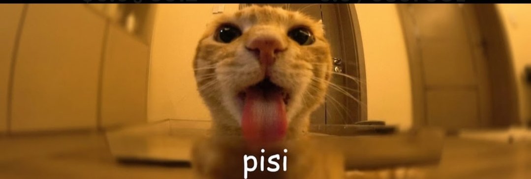 _agymch_'s tweet photo. @Sasuke_Naks Aped $pisi 
CziTZbTtaXymxCZJshBjorYgYGrvueH1br5Nz5SKpump https://t.co/1kKQOegrFG