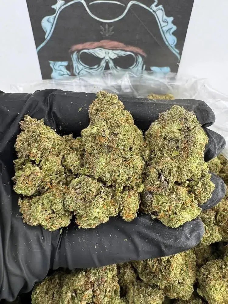 Highexonr's tweet photo. Bio has the link🔥
Weed Albuquerque Weed Las Cruces Weed Rio Rancho Weed Santa Fe Weed Roswell Weed Farmington Weed Clovis Weed Hobbs Weed Alamogordo Weed Carlsbad Weed Gallup Weed Deming Weed Los Lunas Weed Chaparral Weed Sunland Park Weed Portales Weed Artesia Weed Silver City https://t.co/hjS2ftBkv7