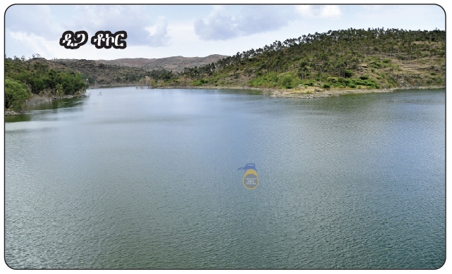 shabait's tweet photo. “ፕሮጀክት ዓዲ ሃሎ፡ ተወርዋሪ ኣሃዱ ልምዓት እዩ” ሱሌማን ዑስማን ጅምዕ
2ይን መወዳእታን ከፋል
ኣብርሃም ዘርአ (ወዲ-ሃለቃ)

ክቡራት ኣንበብቲ ጋዜጣ ሓዳስ ኤርትራ፡ ኣብ ናይ ረቡዕ ሕታምና፡ ጸገማት ማይ ንምፍታሕ ኣብ ዲጋ ቶኮር፡ ብሰራዊት ልምዓት ንዝካየድ ዘሎ ኩሉ መዳያዊ ጻዕሪ ኣመልኪትና፡ ምስቶም ኣብ’ቲ ቦታ ልምዓት ተዋፊሮም ዝርከቡ መራሕቲ ስራሕ ቃለ- መሕተት ኣካይድና ነይርና። ንሎሚ ድማ 2ይን መወዳእታን ክፋሉ ይስዕብ።

- ኣብ’ዚ በዳሂ ኣጻድፍ ዝዀነ ቦታ፡ ኣድላይነት ምህናጽ ናይዚ ጽርግያ እንታይ እዩ ትብል ኢንጅነር ዳኒኤል ፧

ምናልባት እዚ ተበጊሱ ዘሎ ፕሮጀክት ምምሕያሽ ናይ መስመር ማይ እዩ። ጽርግያ ከኣ፡ ሓደ ካብቶም ዓንዲ ሕቖ ናይ’ዚ እንሰርሖ ዘለና ዕዮ ኰይኑ ኢና ንረኽቦ። ምኽንያቱ፡ እዚ ኣገልግሎት’ዚ ጽቡቕ ውጽኢት ክህብ እንተ ደኣ ኰይኑ፡ እቲ ናይ ተሽከርከርቲ መስመር ክህነጽን ክምችእን ኣለዎ። ብሓፈሻ ናይ ጽርግያ ኣገልግሎት ክወሓስን ዘድሊ ንብረት ናይ’ቲ ዲጋ ክሓልፍን እንተ ደኣ ዀይኑ፡ ጽርግያ መሰረታዊ እዩ። ምኽንያቱ ኣብ መጻኢ ናብ’ዚ ቦታ ክኣቱ ዝተባህለ ከበድቲ ማሽነሪታት ክሓልፈሉ ዝኽእል ኣብ ግምት ኣእቲኻ ዝተበገሰ ፕሮጀክት እዩ። እዚ ዘለናዮ ቦታ ብኹሉ ኵነታቱ ክትርእዮ እንከለኻ፡ ኣዝዩ በዳሂ ዝዀነ ቦታ እዩ። ምስ’ቲ ተበጊሱ ዘሎ መደባት ከኣ፡ እዚ ፕሮጀክት’ዚ ጐድኒ-ጐድኒ ኣብ’ዚ ቦታ’ዚ ዝወሃብ ኣገልግሎታት፡ ንዕኡ ብዝምጥን ቀረብ ናይ ማሽነርታት ኣገልግሎታት ተባሂሉ ዝተኻየደ መደብ እዩ። ስለ’ዚ ዓቢ ኣገዳስነት ክህልዎ ከም ዝዀነ ዝሰሓት ኣይኰነን። ምናልባት ንሕና ምስ እዚ ተበጊሱ ዘሎ ልምዓታዊ መደባት ተኣሳሲሩ ዝካየድ ዘሎ ክኸውን ይኽእል እዩ። እዚ፡ መንግስቲ ሓደ ካብ ዓበይቲ ቀዳምነታት ኣብ ቀረብ ማይ ዘካይዶ ዘሎ ወፍሪ ምስ ምዃኑ፡ እቲ ዘለዎ ኣገዳስነት ልዑል ምዃኑ ኢና ንኣምን።

- እዚ ቦታ ክትርእዮ እንከለኻ፡ ኣጻድፍ ዝመልኦ፡ ተሪር ዓቐብ እዩ’ሞ፡ ከመይ ገይርኩም ኢኹም ኣብ ውሽጢ ሓጺር ግዜ ወዲእኩሞ፧ እቲ ዘጋጥመኩም ዝነበረ ብድሆታት እንተ ትገልጸልና፧

ፕሮጀክትታት ዓዲ-ሃሎ፡ ኣብ ከም’ዚ ዝኣመሰለ ትንፋስ ዘይህብ መደባት ቅልጡፍ ዝዀነ ፍታሕ ኣብ ምግባርን ኣብ ምሃብን ንዓና ናይ መጀመርታ ተመኵሮና ኣይኰነን። ኣብ ከም’ዚ ዝኣመሰለ ኣብ ብዙሕ መዳያት ደረጃታት ህንጻ ንሳተፍ ኢና። እዘን ኣሃዱታት ፕሮጀክት ድማ፡ ኣብ ከምዚ ዕማማት ክሳተፋ ዝቘማ ኣሃዱታት እየን። ብዛዕባ ብድሆታት እንተ ዀይኑ ኣብ ኩሉ ዝግበር ንጥፈታት ነናቱ ብድሆታት ከጋጥም ንቡር እዩ። ከም ዝዀነ ዘጋጥመና ብድሆ ክንሰግሮ ስለ ዘለና፡ በቲ ኢልካ በዚ ይብዳህ እዩ። እቲ ዘይከሓድ ንዓና ዘጋጥመና ብድሆታት፡ ቀረብ ማይ እዩ። እዚ ኣብ ህዝቢ ጸቕጢ ክፈጥር ግድነት እዩ። እዚ ኣሃዱታት እዚ ብተመሳሳሊ ደረጃ ንዕኡ ዝበቅዕ ምድላዋት ብምግባር እዩ ገጢምዎ። ስለ’ዚ ብሓፈሻ እቲ ኣብ’ዚ ዝነበረ ብድሆ ከም ዝዀነ ዘጋጥመና ንቡር ብድሆ ኢና ሰጊርናዮ ሓሊፍና። እቲ ኣብ’ዚ ዘሎ ኣሃዱ’ውን ብዕቱብ ስለ ዝተቓለሶ፡ ብዙሕ ነቲ ዘጋጥም ብድሆ ኣጉሊሕካ ትዛረበሉ ኣይኰነን። ልሙድ ስራሕና ስለ ዝዀነ ማለተይ እየ። ንዓና ሓዲሽ ነገር ኣይኰነን። ኩሎም ኣካላት ነቲ ዘድልየና ነገራት ይዋስኡ ስለ ዝነበሩ’ውን፡ ከም ሓደ ዓቢ ብልጫ ኢና እንወስዶ። ኣብ’ዚ፡ ኩሉ ኢድን ጓንትን ኰይኑ፡ ነዚ መደብ ንምዕዋት እዩ ሰሪሑ። በቲ ዝመስለና ሃነጽቲ ሓሳባት እናተሓጋገዝና ኢና ንኸይድ። ኩሉ ከም መራሕን ሓላፊን ኰይኑ ብወኒ ስለ ዝሰርሕ፡ ካብ’ቲ ዓበይቲ ብልጫታትናን ዓወታትናን እዩ። እዚ ከኣ ንቡር ተርእዮን ባህልን ናይ ፕሮጀክትታት ዓዲ ሃሎ እዩ።

- ንዓኻ እውን ክንላለየካ፧

ጆሜትራ ዮሃንስ ሙሉ እበሃል። ኣብ ክፍሊ ማይ ዞባ ማእከል ሓላፊ ጨንፈር ረሳሕ ፈሳሲ ኰይነ እሰርሕ ኣለኹ። ድሕረ ባይታ ናይ’ዚ ዝስራሕ ዘሎ፡ ክንጠቅስ እንተ ደኣ ዄንና፡ ብመሰረቱ እዚ ኣብ 1998 ክህነጽ ዝጀመረ ኰይኑ፡ ኣብ 2002 ከኣ ግቡእ ስርሑ ዝጀመረ ዲጋ እዩ። እዚ ዲጋ’ዚ ንሰሜናዊ ክፋል ኣስመራ ጽሩይ ዝስተ ማይ ዝዕድል እዩ። ኣብ’ዚ እዋን’ዚ ድማ፡ ብመንግስቲ ዓቢ ወፍሪ ተገይሩሉ ኣሎ። ንምሕዳስ ናይ’ዚ መጨንጒዒ ማይ ተባሂሉ ብኸቢድ ወጻኢታት ዝመጽአ ሰለስተ ፖምፓታትን ክልተ ናይ ትሕጃ ጀነረተራትን ኣብ ምትካል ተዋፊርና ንርከብ ኣለና።

ብተወሳኺ ነዚ ስራሕ’ዚ ንምዕዋት ዕማም ሓዲሽ ጽርግያ ተሃኒጹ። ክብደት ናይ’ቲ ስራሕ ብምግንዛብ፡ ንዕኡ ዝምጥን ብፕሮጀክት ዓዲ-ሃሎ ብህጹጽን ኣብ ዝሓጸረ እዋንን ብጽፉፍ ኣገባብ መሰጋገሪ ዝኸውን ሓደ ዓቢ ቢንቶ ተሰሪሑ። ብድሕሪ’ዚ ኣብ መስርሕ ነቲ ዝኣረገ መስመራት ፖምፓታት ኣውጺኻ፡ ነቲ ሓዲሽ ንምግጣም እዩ ነይሩ። ኣብዚ መስርሕ’ዚ ክብድ ዘብሎ እቲ ዝሰራሕ ዝነበረ ስራሕ እናቐጸለ እንከሎ፡ ዕደላ ማይ ከየቋረጽና ወዓል ሕደር ዘይብሉ ኣብ ስራሕ ኢና ተጸሚድና። እዚ ከኣ’ዩ ኣዝዩ ከቢድ ዝገብሮ። ከም ዕድል እቶም ዘለዉና ሰብ ሞያ ወይ ክኢላታት መንእሰያት ሓደስቲ ዝተመደቡና ይኹኑ ነባራት፡ ብትግሃት ንህዝቢ ኣብ ኣገልግሎት ዝውዕል ምዃኑ ፈሊጦም ብእምነት ስለ ዝሰርሕዎ፡ ኣብ ከም’ዚ ደረጃ በጺሕና ኣለና ክብለካ እኽእል።

- ዝተሓልፈ መስርሕ ወፍሪ ናይ’ዚ ስራሕ እንታይ ይመስል፧

ብዛዕባ ዝተሓልፈ መስርሕ ንምግላጽ እንተ ደኣ ዀይኑ፡ መጀመርታ ነዚ ስራሕ እዚ ንምስራሕ፡ እቲ ዝነበረ ናይ ናፍታ መዐደሊ ማይ ብኤለትሪክ ንኽሰርሕ እዩ እቲ መደብ ወጺኡ። ነዚ ንምግባር ድማ፡ ካብ ቅድሚ ሓሙሽተ ዓመት ብኽኢላታት ሰብ ተመኵሮን ሓደስቲ መሃንድሳትን መንእሰያትን ደቂቕ መጽናዕቲ እዩ ተኻዪዱሉ። ምኽንያቱ፡ ኣብ’ዚ ዝነበረ ፖምፓታት ስለ ዝኣረገ፡ ዕደላ ማይ ዳርጋ ናብ ምቊራጽ ደረጃ በጺሑ ነይሩ። ነዚ ፈዊስካ መሰጋገሪ ንምግባር ሓዲሽ መደብ ወጺኡሉ። ከምኡ ኢሉ ክቕጽል ስለ ዘይክእል፡ ንውሕ ዝበለ መስርሓት እዩ ሓሊፉ። ካብ ሓደ ኣገባብ ናብ ካልእ ኣገባብ ክትቅይር እንከለኻ፡ ድቕቕ ዝበለ መጽናዕቲ ስለ ዘድሊ፡ ንዓኻ ዘዋጽኣእካ ምስ ዓቕሚ ሰብካን ቊጠባኻን ዝኸይድ ነገራት’ውን ክትገብር ስለ ዘለካ፡ መጀመርታ ስፍሕ ዝበለ መጽናዕትታት እዩ ተኻዪዱሉ። ንዕኡ ዝምጥን መጽናዕቲ ምስ ተጻፈፈ ድማ፡ ናብ መስርሕ ዕድጊ ተሰጋጊሩ። ኣብ ዕድጊ እቲ መስርሕ ኣብ 2020 ተወዲኡ፡ እቲ ንብረት ድማ ኣብ 2022 ናይ ምእታው መስርሕ ተጀሚሩ። ብድሕሪ’ዚ፡ እቲ ናይ ምትግባሩ መደብ እዩ ስዒቡ። ነዚ ንምትግባር ድማ፡ ክኢላታት የድልዩኻ። ሓደስቲ መንእሰያት ክትምህርን ክትምልምልን ኣለካ። ነዚ ድማ ካብ ምውህሃድ ሞያዊ ጸጋ ሰብ ዓዲ ሃሎ፡ ሓደስቲ መንእሰያት ከም ዝምደቡ እናተገብረ ነቲ ዝነበረ ኣሰራርሓ እናወረሱ ብምኻድ፡ ነዚ ሓዲሽ ስራሕ ባዕሎም ከም ዝገጥምዎ ብምግባር እዩ እቲ መደብ ተታሒዙ። ኣብ 2026 ወርሒ ሓደን ክልተን ድማ፡ ናይ መጀመርታ ንብረት ተረኪብና። ንምውራዱ ግን፡ ሓደ ዕንቅፋት ኣጋጢሙ።

- እንታይ ዕንቅፋት ኣጋጢሙ፧

ከም’ቲ ኣቐዲመ ዝገለጽኩዎ፡ ነቲ ዝመጽአ ንብረት ናብ ታሕቲ ክወርድ ኣጸጋሚ ኰይኑ። ስለ’ዚ ሓዲሽ ጽርግያ ከም ዝስራሕ ተገይሩ። እዚ ተሳሊጡ እቲ ሓዲሽ ንብረት ክወርድ ምስ ጀመረ፡ ኣብ ወርሒ ኣርባዕተ ምሉእ ብምሉእ ኣብ ንብረት ምግጣም በጺሕና ማለት እዩ። ጐኒ-ጐኒ ናይ ምግጣም ጸዓት’ውን ስለዘድሊ ንምስራሕ ምስ ኮርፖረሽን ኤለትሪክ ሲቲ ኤርትራ ብምውህሃድ፡ ጐኑ-ጐኒ መጽናዕቲ እናተገብረ፡ ሓደሽ ትራንስፎርመራት ምስኡ ዝኸይድ መገጣጠሚታት ወይ መዐደሊ ጸዓት ዘገልግል መሳርሒታት ከም ዝግጠም ተገይሩ። ሓዲሽ ናይ ትራንስፎርመር ገዛ ከም ዝህነጽ’ውን ተገይሩ። ንዝተረፈ ናይ መወዳእታ ዕማም ድልው ኰይኑ ኣሎ ማለት እዩ። ኣብዚ እዋን’ዚ እቲ በጺሕናዮ ዘለና ደረጃ ክረአ እንከሎ፡ ዳርጋ 95 ሚእታዊት ናይ’ቲ ዕማም ተዛዚሙ ኣሎ። ኣብ ናይ ፈተነ ደረጃ እዩ ተበጺሑ ዘሎ።

- እቲ ቀንዲ ዕላማ ናይ’ዚ ዕማም ግን እንታይ እዩ ጆሜትራ፧

እቲ ቀንዲ ዕላማ ኣብ ከተማ ኣስመራ ንዘጋጠመ ሕጽረት ማይ ንምፍታሕ እዩ። ነዚ ንምትግባር ከኣ፡ 24 ሰዓታት ብዘይ ምቍራጽ ኣገልግሎት ኤለክትሪክ ክረክብ ስለ ዘለዎ፡ እተን ኣትየን ዘለዋ ፖምፓታት ንእንሰርሖ ዘየቋርጽ ዕደላ ማይ በብሰዓተን ንምርግጋጽ እዩ።

- ኣብዚ እዋን’ዚ ዲጋ ቶኮር ሒዝዎ ዘሎ ትሕዝቶ ማይ ሓበሬታ ክትህበና፧

ኣብ’ዚ ሕጂ እዋን ዲጋ ቶኮር ሒዝዎ ዘሎ ትሕዝቶ ማይ ዘተኣማምንን፡ ነቲ ዝተታሕዘ ዕላማ ንምህራም ዘየሸግርን ስለ ዝዀነ፡ ኣብ ጽቡቕ ደረጃ ኢና ዘለና ክንብል ንኽእል።

- ምስ እዚ ኣጋጢሙ ዘሎ ሽግር ማይ፡ ክጥቀስ ኣለዎ እትብሎ ሓበሬታ ክትህበና፧

ኣብ መጠቓለሊ ከይተጠቕሰ ክሓልፍ ዘይብሉ፡ እቲ ብመንግስቲ ዝግበር ዘሎ ዓቢ ወፍሪ ኣብ ጽላት ማይ፡ እዚ ሓደ ካብኡ እዩ። ምኽንያቱ እዚ ፕሮጀክት’ዚ ጠሊብዎ ዘሎ ወጻኢታት ኣዝዩ ከቢድ እዩ። ምሉእ ብምሉእ ከኣ ብመንግስቲ ዝሽፈን ዘሎ ገዚፍ ዕማም እዩ። ጐኒ-ጐኑ ግን ወፍሪ ኣውፊርካ፡ ሰራሒ ኣካል እንተ ዘየለ ዓቢ ጸገም እዩ። ነዚ ንምግባር’ውን፡ ኣቐዲሙ ብምውህሃድ ሞያዊ ዓቕሚ-ሰብ ዓዲ ሃሎ፡ ቀጻሊ ዝወሃብ ናይ ሞያ ስልጠናታት ስለ ዝነበረን ከምኡ’ውን፡ ኣብ ቴክኒካል ኣብያተ ትምህርቲ፡ ኮለጃት ክመሃሩ ዝጸንሑ መሃንድሳትን ኣብ’ዚ ከም ዝሳተፉ ተገይሩ። እቶም መንእሰያት ድሉዋት ኰይኖም ምጽንሖም፡ እዚ ንባዕሉ ዓቢ ጸጋ እዩ። እዚ ከኣ፡ እቲ ኣቐዲሙ መንግስቲ ወፍሪ ክገብረሉ ዝጸንሐ ስጕምቲ፡ ናቱ መርኣያ እዩ። ኣብ’ዚ እዋን እዚ ከኣ፡ ብዘይ ናይ ደገ ሓገዝን ደገፍን ምሉእ ብምሉእ ብዜጋታት ውሽጢ ሃገር ከም’ዚ ዓይነት ተሰሪሑ ኣብ ፍረ በጺሑ ክትርእዮ ዘዅርዕን ዘተባብዕን እዩ። ምሳና ዝሰርሑ ዘለዉ ንኣሽቱ መንእሰያት’ውን፡ ነዚ ስራሕ ባዕሎም መሊኾም ብዘይ ደገፍ ክሰርሑ ክትርእዮም እንከለኻ፡ ኣዝዩ ዘሐጕስ ነገር እዩ።

- ናብ ህዝቢ ዝቐንዐ እተሕልፎ መልእኽቲ እንተ ደኣ ሃልዩ ዕድል ክህበካ፧

ኣነ ኣብዚ ከሕልፎ ዝደሊ መልእኽቲ፡ ንህዝቢ እየ ክምጕስ ዝደሊ። ከም’ዚ ዝኣመሰለ ባህርያዊ ናይ ማይ ሕጽረት ኣብ ዘጋጥመሉ፡ ህዝቢ ነቲ ዘጋጥም ግዝያዊ ሽግር ተጻዊሩ ብዘይ ዝዀነ ጸቕጥን ብኸመይ ከም ዝፈትሖ ማዕረኻ ክጎዪን ኣብ ጐድንኻ ኰይኑ ሓሳባትን ሓገዛትን ከበርክተልካ ክትርኢን እንከለኻ፡ ካብ’ዚ ዝዓቢ ጸጋ የለን እየ ዝብል። ምኽንያቱ ጸገም ኣጋጢምዎ ንሽግሩ ክፈትሕ ዝጐዪ ህዝቢ ጥራሕ ኣይኰነን ዘለና፡ ነቲ ሽግር ኣብ ጐድኒ እቲ ዓያዪ ኣካል ኰይኑ ንምቅላስ ዝጓየ ህዝቢ ስለ ዘለና ኣዝዩ ዘሐጕስ እዩ። ፕሮጀክት ዓዲ-ሃሎ ዝገብረልና ቀረብ ማሽነሪ፡ ዓቕሚ ሰብን ናይ ንብረት ጸጋታትን ክምስገን ዝግበኦ እዩ። ብሓፈሻ ኩለን ኣብ’ዚ ስራሕ ንዝተሳተፋ ትካላት ልዑል ምስጋና ነቕርብ።

- ንስኻ’ኸ ብጻይ፡ ገዛእ ርእስኻ ብምልላይ፡ እዚ ሰራዊት ልምዓት ዘሰላሰሎ ዘሎ ንጥፈታት ክትሕብረና፧

ሱሌማን ዑስማን ጅምዕ እበሃል። ከም ሓላፊ ናይ’ዚ ‘ፕሮጀክት 8’ ናይ ዓዲ ሃሎ ኰይነ ድማ እእርሕ ኣለኹ። ከም’ዚ ኣቐዲሙ ኢንጅነር ዳኒኤል ዝበሎ፡ እዚ ስራሕ ናይ’ዚ መደብ ምስ ተጀመረ፡ ኩሉ ሞያዊ ይኹን ዝቐረብናዮ ዓቕሚ ሰብ ኢደይ ኢድካ ኢሉ እዩ ኣብ ውሽጢ ወርሒ ዘይመልእ ነዚ ዕማም’ዚ ዳርጋ ፈጺምዎ ዝርከብ። ክሳብ ብግዜ ለይቲ እንሰርሓሉ እዋናት’ውን ነይሩ እዩ። ዝሓዝናዮ ስራሕ ኣብ መፈጸምትኡ ክሳብ ዝበጽሕ ድማ፡ ኩሉ ዓቕሚ ሰብናን ማሽነሪታትናን ኣብዚ ስራሕ’ዚ ብልዑል ኒሕ ከቲቱን ተሳቲፉን። ዕዉት ዝዀነ ስራሕ ድማ ዓሚሙ። ኣብ’ዚ 140 ዝኸውን ዓያዪ ዓቕሚ ሰብ ድማ ኣሳቲፍና። ናይ ብሓቂ ሰራዊትና ሓያል ሰራዊት እዩ። ትማሊ ኣንጻር ተጻባእቲ ሓይልታት መኪቱ፡ ሕጂ ድማ፡ ኣብ ናይ ልምዓት ቦታታት ኰይኑ ሃገሩ እናልምዐ ንቕድሚት ይምርሽ ኣሎ። ኣብ መላእ ሃገር ተዘርጊሑ ድማ፡ ይሰርሕ ኣሎ። እዚ እዩ ድማ፡ እቲ ተልእኾ ናይቲ ሓፋሽን መንግስትን። ብዓብይኡ ከኣ ሕድሪ ሰማእታትና ኣብ ዝባንና ኰይኑ ሕሹኽ ስለ ዝብለና፡ ኣብ መዛዘሚኡ ንምብጻሕ ወትሩ ኣብ መኸተ ልምዓት ንርከብ ኣለና ክብለካ እኽእል።

- ብጻይ ሱሌማን፡ ምስ’ዚ ክትገልጸለይ ዝጸናሕካ ብምግንዛብ፡ ንኣሃዱ ልምዓትን ህንጻን ፕሮጀክት ዓዲ-ሃሎ ብኸመይ ትገልጾ፧

ኩልና ከም እንፈልጦ ፕሮጀክት ዓዲ-ሃሎ ተወርዋሪ ኣሃዱ እዩ። መንግስቲ ቀዳምነታቱ ኣብ ዘለልየሉ እዋን፡ ወፍርታት ሰሪዑ ንዕኡ ከሰላስል ዝቖመ እዩ። ኣብ መላእ ሃገር ፋሕ ዝበለ ገዚፍ ዕማም ተሰኪሙ ዝጐዓዝ ሓላፍነታዊ ኣሃዱ ልምዓት እዩ። ናይ’ዚ እንገብሮ ዘለና ወፍሪ ፍልይ ዘብሎ ግን፡ ናይ ማይ ሕቶ ንምውሓስ ዝግበር ዘሎ ወፍሪ እዩ። ብዓብይኡ እዚ ዘለናዮ ትሑት ዝተኸዘነ ናይ ማይ ትሕዝቶ ዘለወን ዲጋታት ኣብ ዝሓለፈ ዓመት ብፍላይ ብዙሕ ስለ ዘይነበረ፡ ምስ ካልእ ኵነታት’ውን ተኣሳሲሩ፡ ቀረብ ማይ ዳርጋ ናብ ኣስጋኢ ኵነታት በጺሑ ኣብ ዝተበሃለሉ ኵነታት፡ እዚ ወፍሪ’ዚ ስለ ዝተበገሰ፡ ኣብ ዝሓጸረ ግዜ ክግበር ከም ዘለዎ ብሓለፍትና መምርሒ ተዋሂቡና። ንሕና ከኣ ኣተግቢርናዮ ኣለና። ተልእኾ ሰማእታትና ንምፍጻም ወትሩ ድሉዋት ኢና። ንእንሰርሖ ዘለና ንጥፈታት ክትስንዱ ምምጻእኩም ከኣ ንዓኹም ንእንዳ ዜና ‘ሽኩረን’ ንብለኩም። #Eritrea