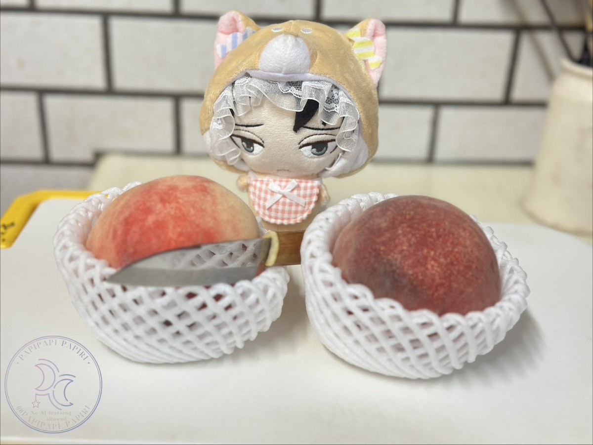 papipapi_papiri's tweet photo. ぱぴ『...ももしゃんたびるぷ。』

#ぱぴりれんらくちょう  
#おりょうりぱぴり https://t.co/b1IFfatBu0