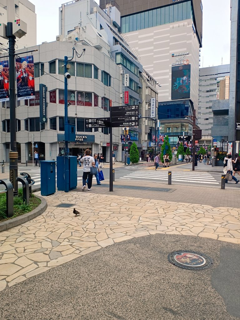 o11104_e's tweet photo. 前回の池袋駅からせっかくだからマンホールカードを頂きにポケストップの豊島区民センター内の池袋東口観光案内所に行きカードを頂いて近くにあったマンホールを撮影だけどマンホールの池袋PRアニメが全然知らないのでこれを機会にチェックしますぞい🙂‍↕️
#探索 #ポケモンGO #豊島区 https://t.co/ADDrheZJQ3