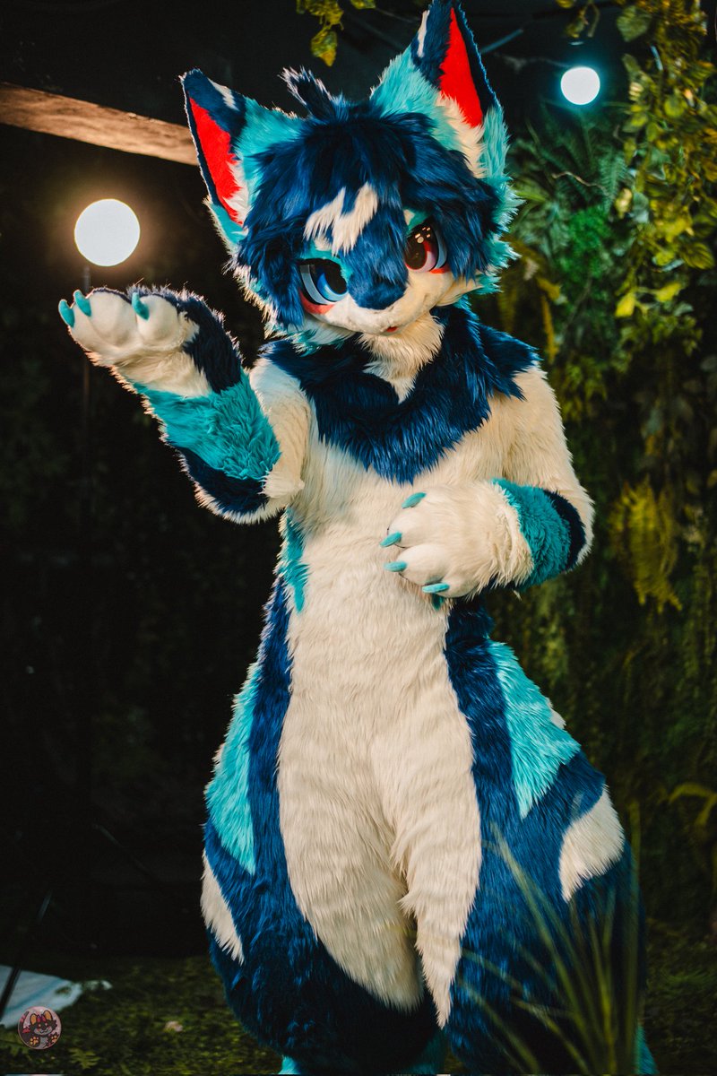 Kanisuke_'s tweet photo. ☀

#万界通行 #fursuitfriday #fursuit #wwpass https://t.co/bRWS4JkB5M