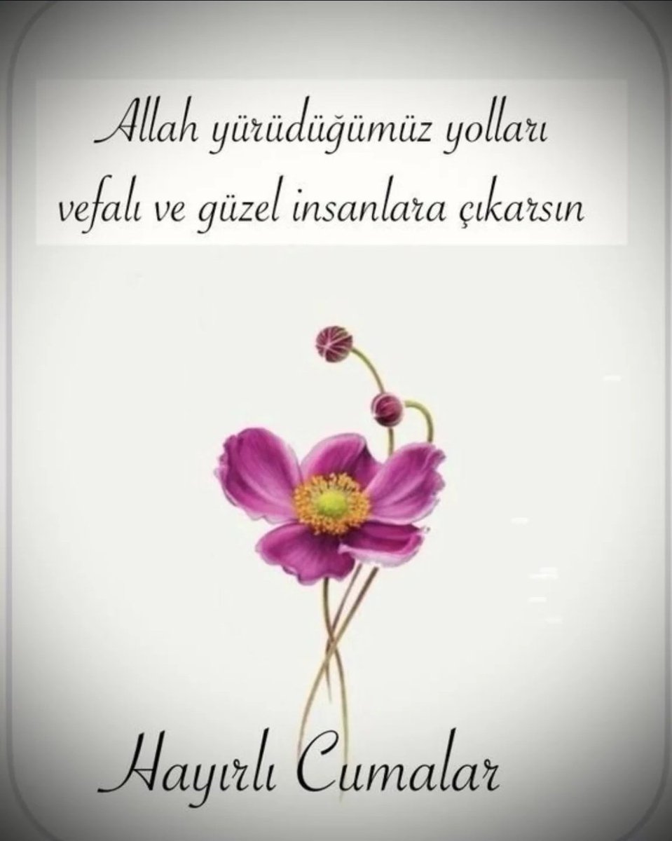 Yasin19077's tweet photo. https://t.co/B9EaLdOTaz