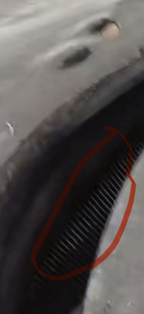 ChrisNyamabo's tweet photo. Did the whale that ended up on the Moanda shore in the DRC swallow a plastic pipe, causing its trauma?

Can anyone tell us whether the inside of a whale’s mouth normally looks like this? https://t.co/fEWRPDIE7D