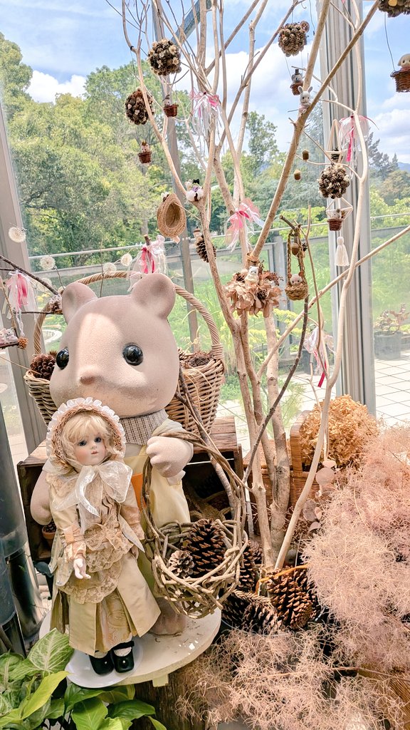 GINkikyo's tweet photo. 花の文化園へ30年振りに行きました😅
当時はカフェも無く、今日行ってみた���シルバニアファミリーのメニューが有り、チーズケーキを頼むとマーガレットウサギの赤ちゃんがもらえました🥰可愛い💞
園内の人はチラホラしか居なくて、ゆっくり出来ました。
#大阪府立花の文化園
#シルバニアファミリー https://t.co/XZrzYwQxkO