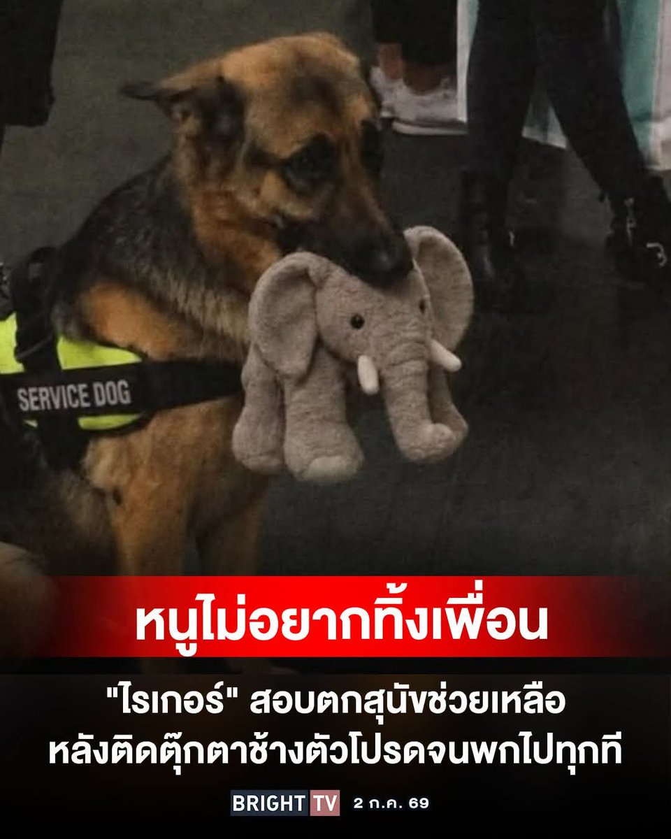 il_LoVe_li's tweet photo. อั้ยยยย น้อนนนนนน https://t.co/nLZCeG74I9
