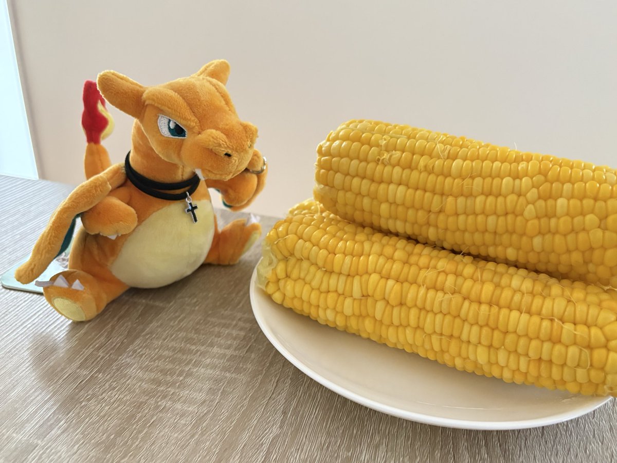 yukihami0803's tweet photo. 農家さんから頂いたゴールドラッシュ🌽💓
茹でたて✨熱々🔥
生でも食べれるくらい甘ーいトウモロコシだよ😋 https://t.co/YADMqtNanz