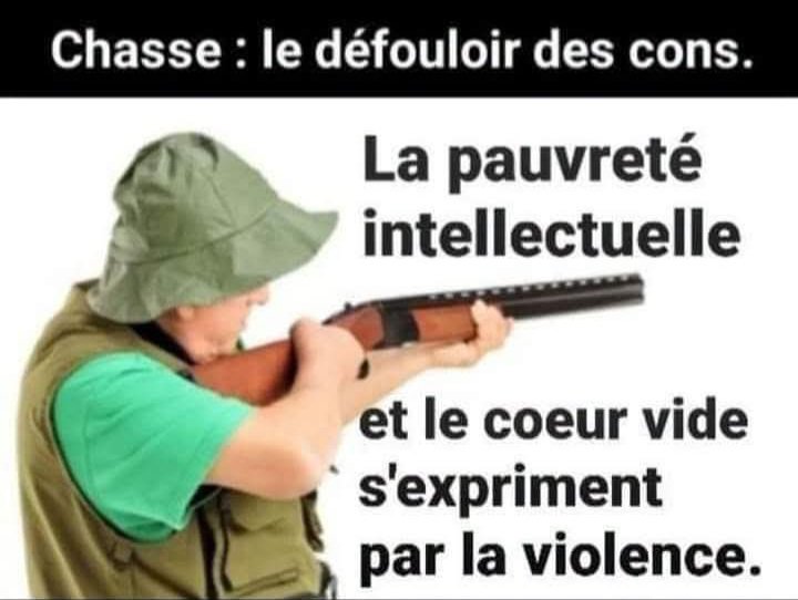 AdeaClaude's tweet photo. https://t.co/PM6dJpqoVN