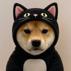 NevFellOff's tweet photo. I swear its a cat
WqkKwo5HM52S2ovRY1B4HFdx7uBUnsUUWhvt4W2pump https://t.co/wEhSsoCS3Q