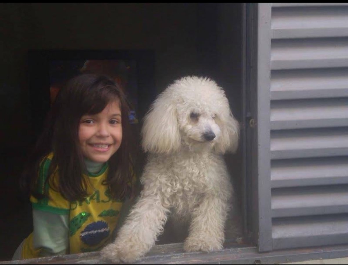 naflava_'s tweet photo. eu nunca vou esquecer de vc Bob… 🖤 https://t.co/98vpuzYcge