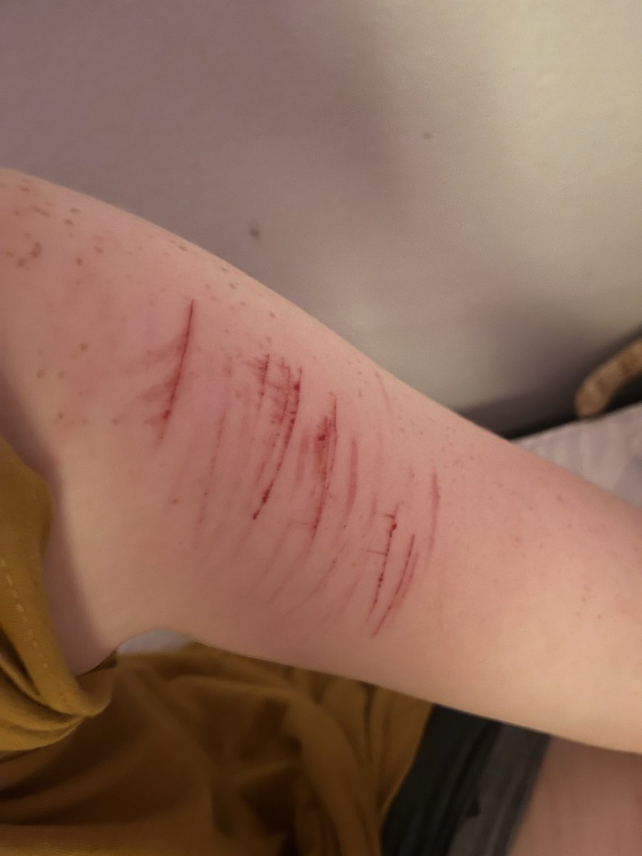 WHIMSYPUP9's tweet photo. very mini tiny styros, guess im back in the house!!
I could say some edgy shit but i would rather not become an inside joke so just act like I did this for no reason
yikes even THATS corny...
ALL FAKE STRESS RELIEF MAKEUP!.
#shedtwt #shtwt #slittwt #cutspo #stryo #bbystyro https://t.co/4UlhLh7WeS