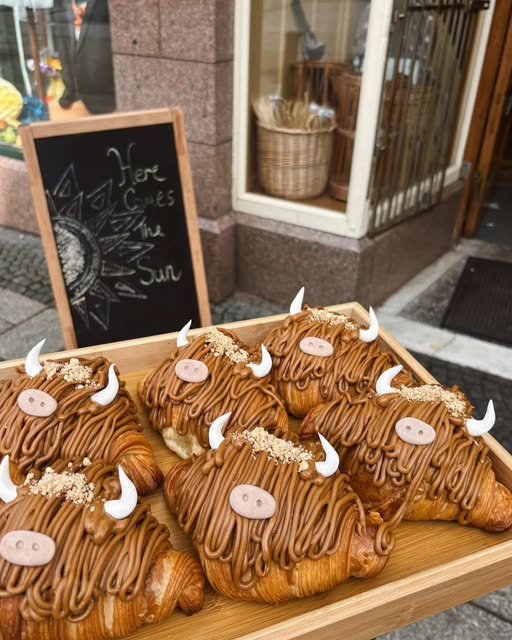 BarssFreddie's tweet photo. Cannae beat a tasty summer treat in Scotland! 
 How coo-te are these Highland coo croissants?!  c.o. Farine Bakery, Fort William 😋☕️🏴󠁧󠁢󠁳󠁣󠁴󠁿 https://t.co/Pt5cL7jfXn