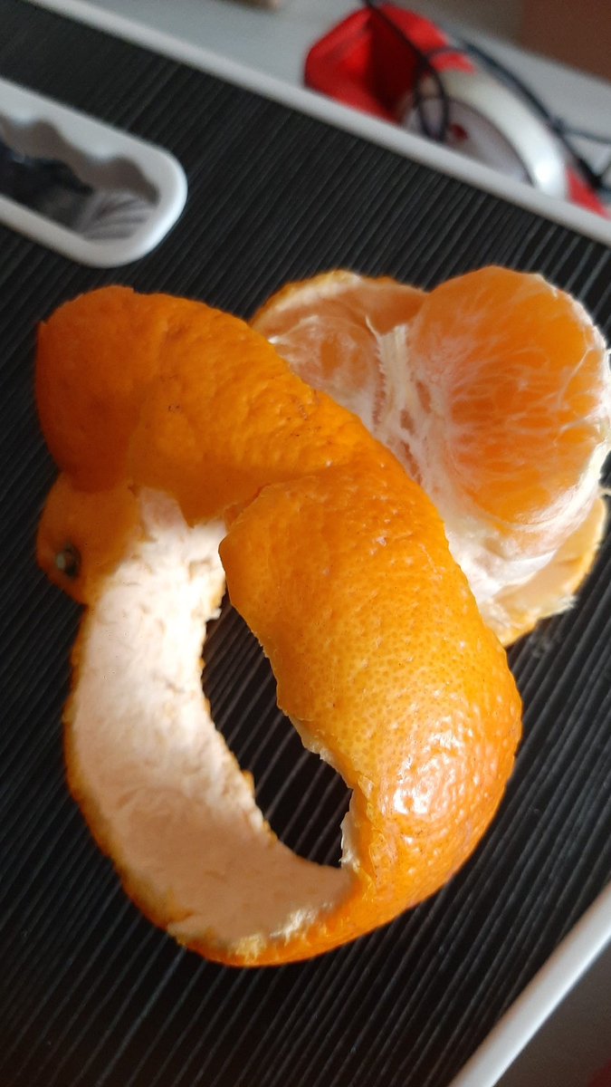 zendoya_'s tweet photo. Makanan pokoknya ko neung https://t.co/FMejNxAeD1