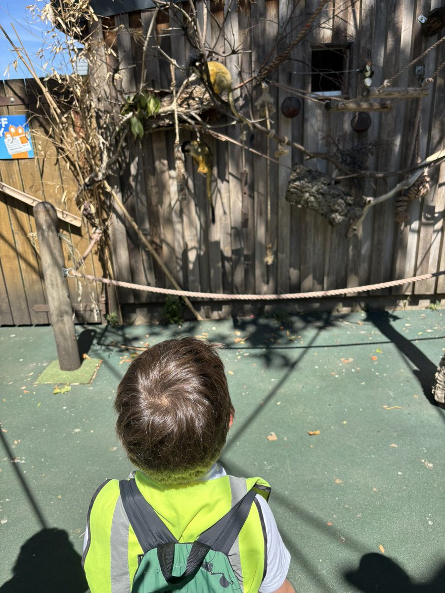 RiverleyPrimary's tweet photo. GAF Day 4l Today unfolded like the pages of a living storybook as Reception wandered through @zsllondonzoo . Every curious gaze, gentle question and unexpected encounter revealed a new wonder. #GAF #ProudTradition #londonzoo https://t.co/2rz4x80q2Y
