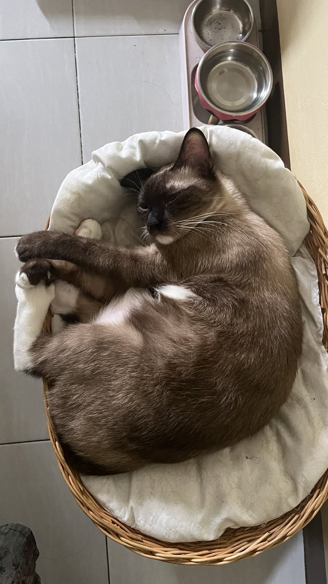 fortuneruby's tweet photo. say goodbye to Rongrong, dia udah aku jadiin benang 😋 https://t.co/GewxjM1F8Z
