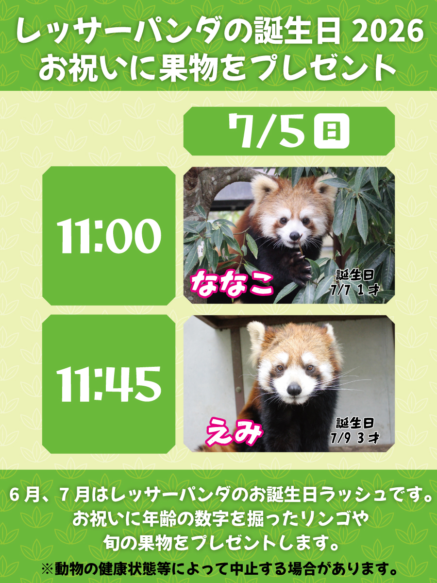 静岡市立日本平動物園 (@nhdzoo) / Posts / X
