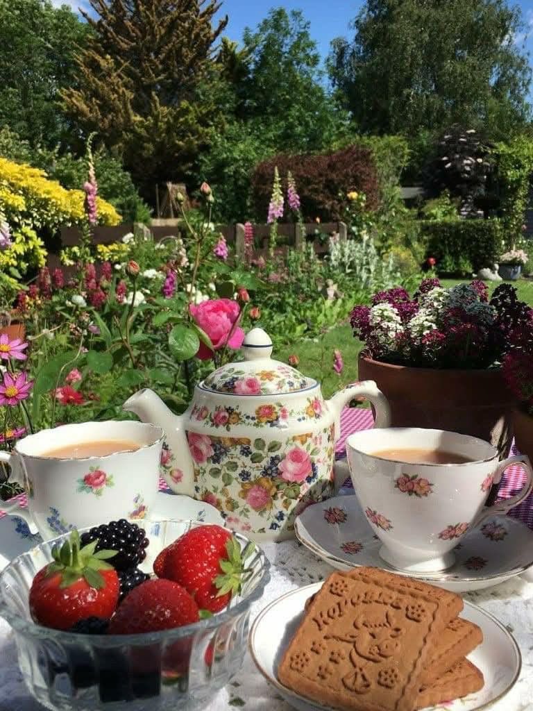 bloomele_'s tweet photo. dreamy breakfast at the garden https://t.co/9GVrOdUFiw