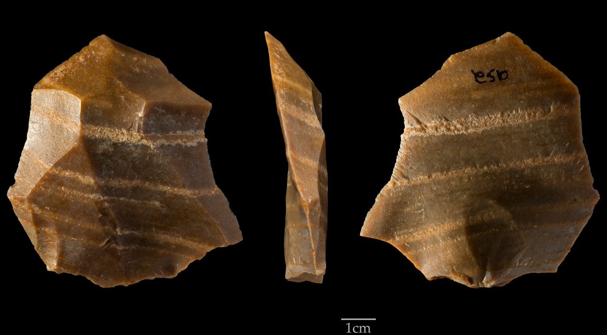 huw_groucutt's tweet photo. #FlintFriday. Still one of my favourites. Lovely Levallois flake we found at Mundafan in southern Saudi Arabia, made around 85,000 years ago on the edge of what was then a lake. https://t.co/Bsalk21pME