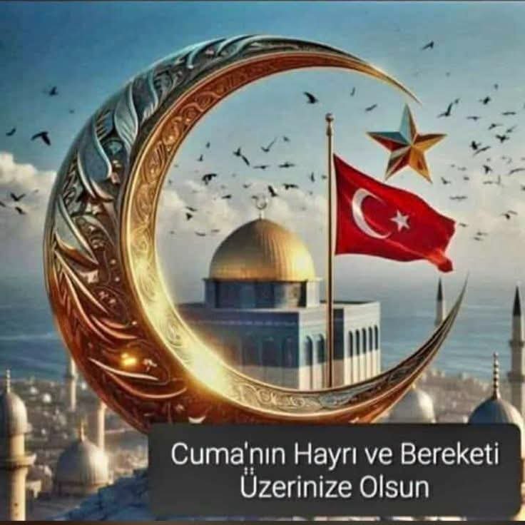 brahimReisolu1's tweet photo. @Enesyilmaz_0663 https://t.co/9Z1V7D5pa3