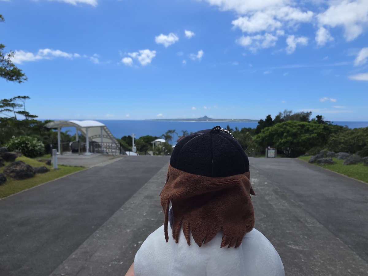 Gosee729's tweet photo. そらちゃん
あれが伊江島だよ
こゆう青い海をずっと見たかった
#ときのそらと一緒 https://t.co/KjO1KWDcSk