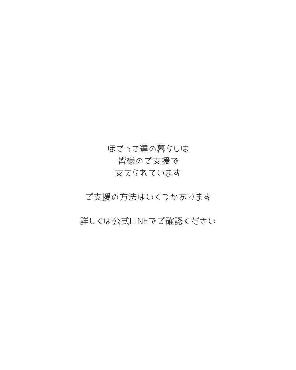 hogokkocafe's tweet photo. 【寄付金報告】2026年6月分

長期休業中にもたくさんの温かいご支援をありがとうございました。
皆様のおかげで営業を再開することができました。
これからも犬猫たちが安心して暮らせる場所を守れるよう頑張ります。
今後とも応援よろしくお願いいたします🐶🐱💕 https://t.co/Dj2nHwnwcz