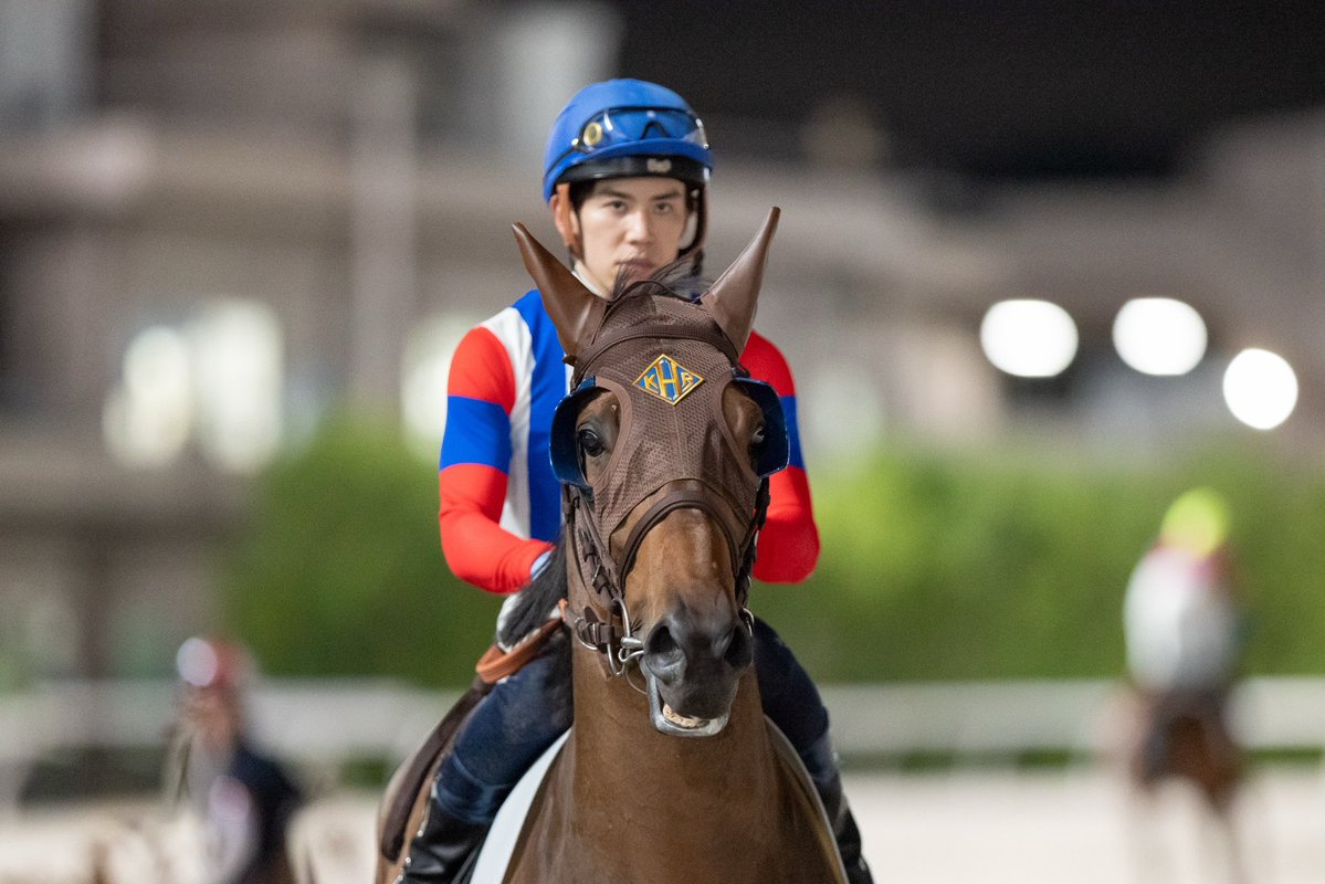 HOKARIstable's tweet photo. 大井競馬 第5回 
2026/7/2 第4日目
12R オメガドライヴ号
🏇安藤洋一騎手６着
オメガッチ、最後まで頑張りました😆✨
(すみません🙇寝落ちしました) https://t.co/A6QF8nvN27