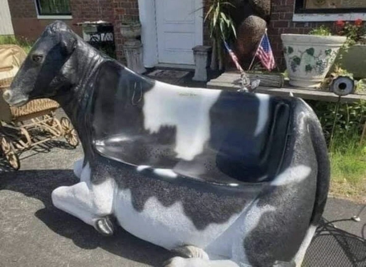 equine__dentist's tweet photo. i’d love to just chill on the cowch https://t.co/alRUiq0GG3