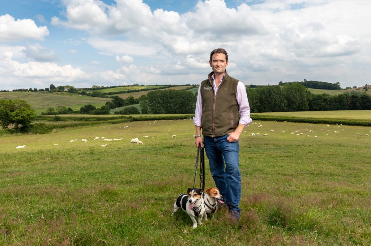 BASISRegLtd's tweet photo. How can farmers balance environmental ambition with profitability?

We spoke to @JoeWStanley ARAgS, Head of Sustainable Farming @AllertonProject, about the future of British agriculture, environmental advice and sustainable farming.

Read more: https://t.co/vn3bohBFAZ https://t.co/NpH7xDUgyG