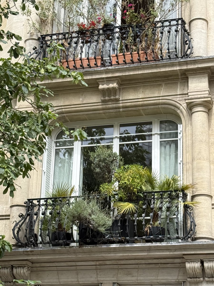 marilovesgr33n's tweet photo. A Parigi hanno il pollice verde. Oltre ai tetti di zinco. https://t.co/GjSE0xPNuE