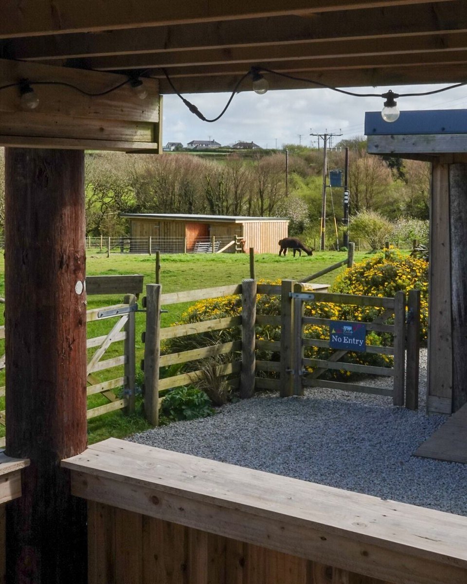 Camping_Direct's tweet photo. π Macdonaldβs Farm offers camping, touring and glamping stays in Porthcothan on Cornwallβs Seven Bays.
π Find out more:
https://t.co/tPKA6oQIEK
#cornwall #padstow #porthcothan #glampingcornwall #visitcornwall https://t.co/dlgt1iIvGS
