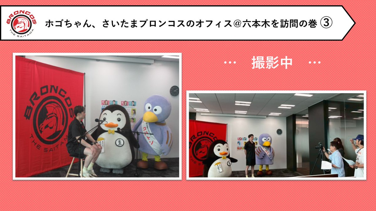 MOJ_HOGO's tweet photo. 【#社明７６ オリジナル広報動画の撮影＠さいたま】
埼玉県オリジナル広報動画の撮影のため、#ホゴちゃん と #埼玉県 マスコット #コバトン が #さいたまブロンコス さんを訪問し、#松下裕汰 選手にお会いしました！その様子をご覧ください♪
#社会を明るくする運動 https://t.co/EmnIJBkjbm