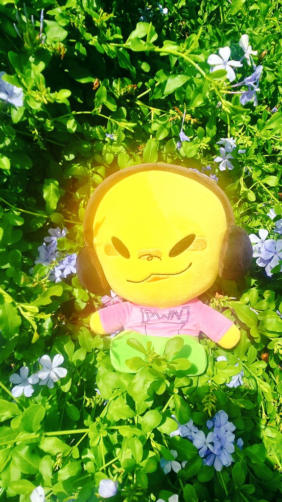 BUL1M14's tweet photo. 🌺☀️ https://t.co/LhhYbLXFlq