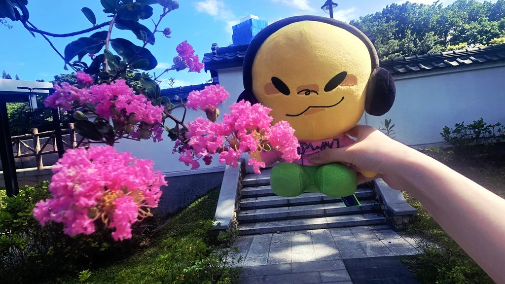 BUL1M14's tweet photo. 🌺☀️ https://t.co/LhhYbLXFlq