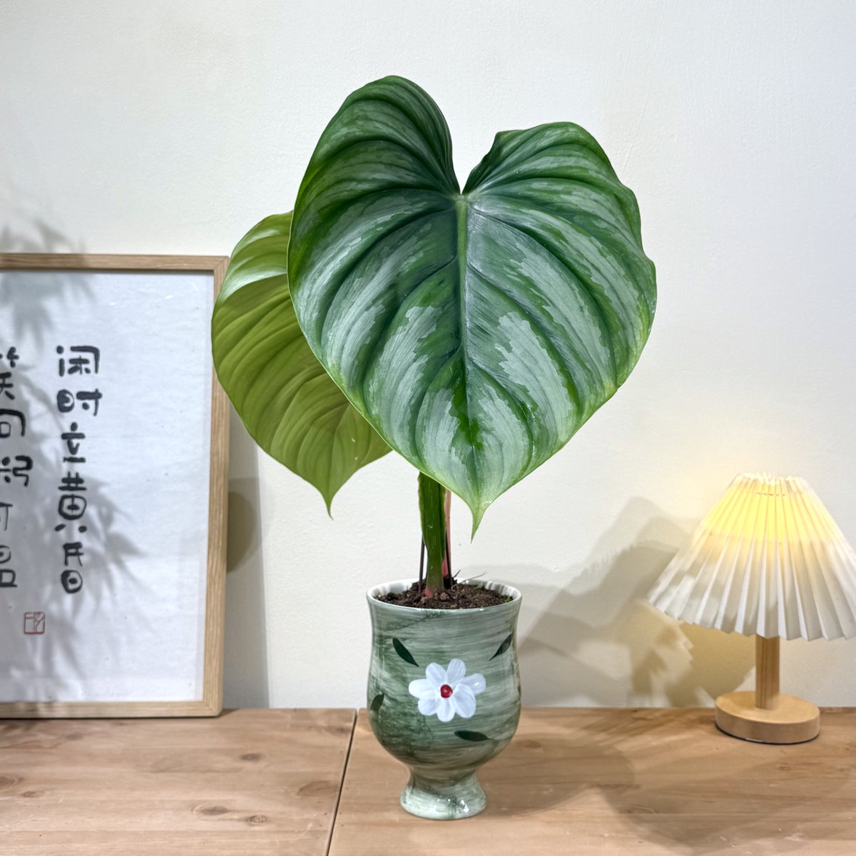 AustinT69448401's tweet photo. Just spent 10 minutes staring at the office plant—total productive break, right ， https://t.co/rk7UgUgmZB