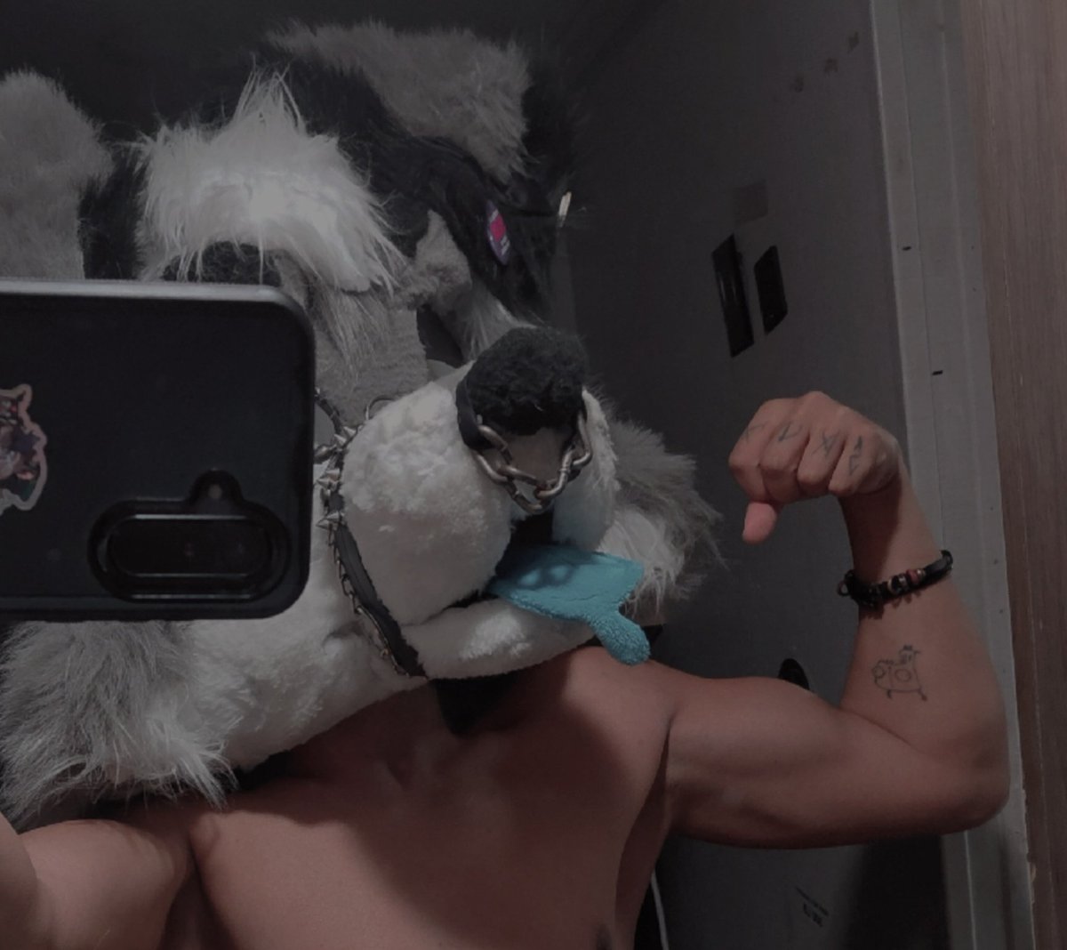 PierreRaik48489's tweet photo. Pump from the other day #furry #fursuit #gym #gymfur https://t.co/26pw5sTNE7