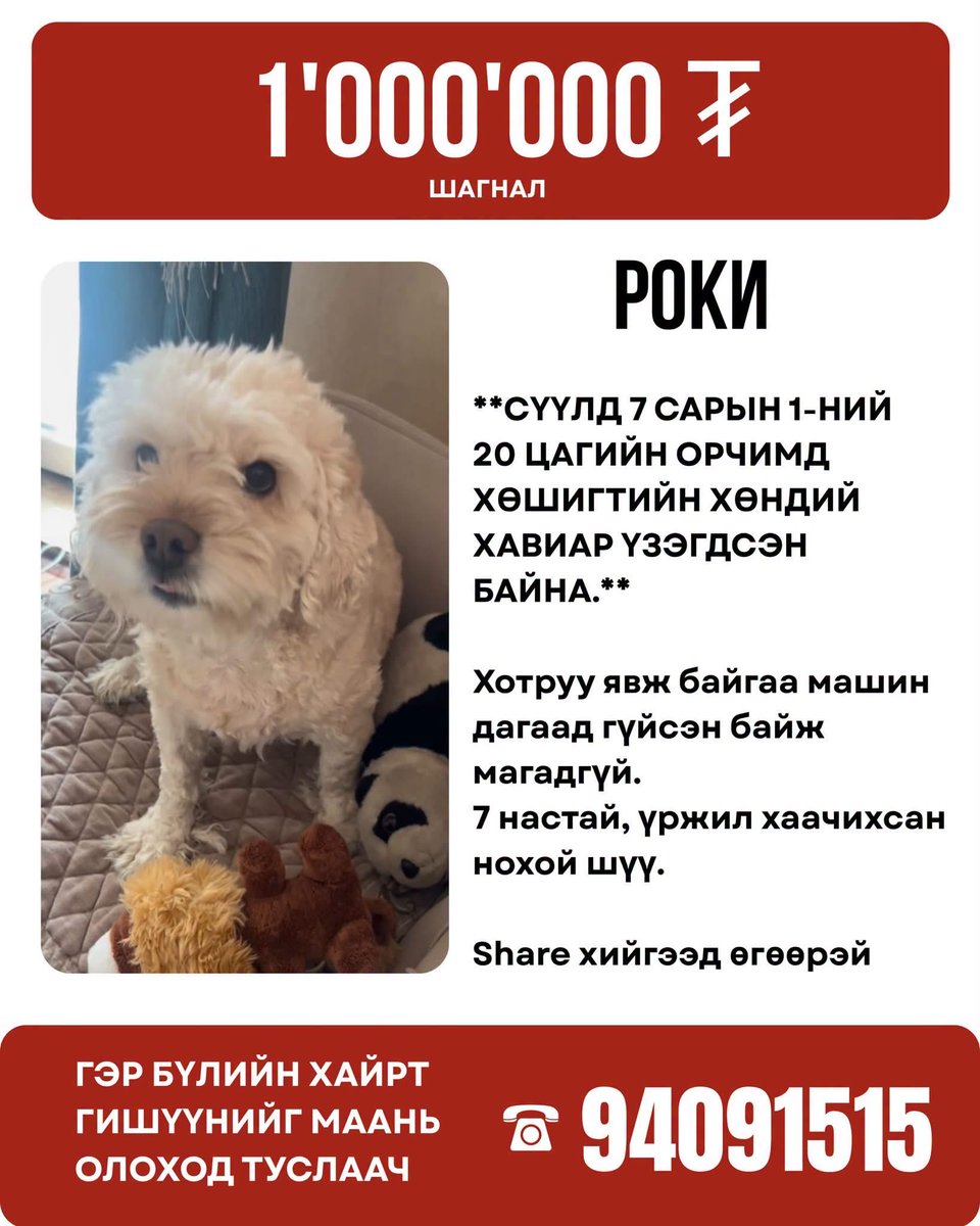 odon_91's tweet photo. Шэйрлээд тараагаад өгөөрэй 🙏🙏🙏😢😢😢 https://t.co/wr8QNs3hnj