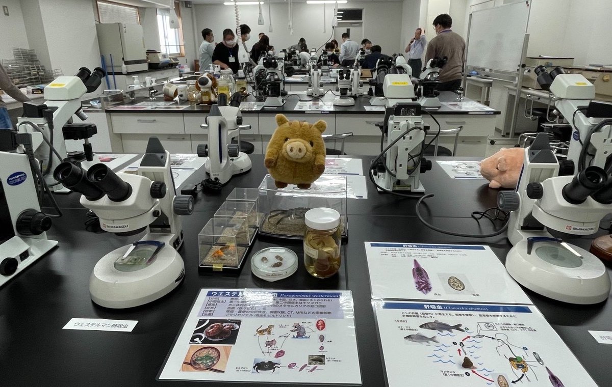 kobe_para's tweet photo. 寄生虫学リカレント教育プログラムの事業計画を検討してます。オンデマンド講義（6〜8コマ）、名谷キャンパスでの実習（希望者対応）という内容です。参加希望の方はレスポンスいただけると嬉しいです。 https://t.co/4IwUcDQCNB
